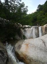 德转宣5将加盟泰山,泽卡因伤暂时离开海口,韦世豪有望加盟海港